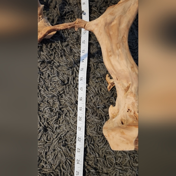 2 Zoo Spider Wood 1 X-Large(20"-23") 1 (11") - Picture 6 of 8